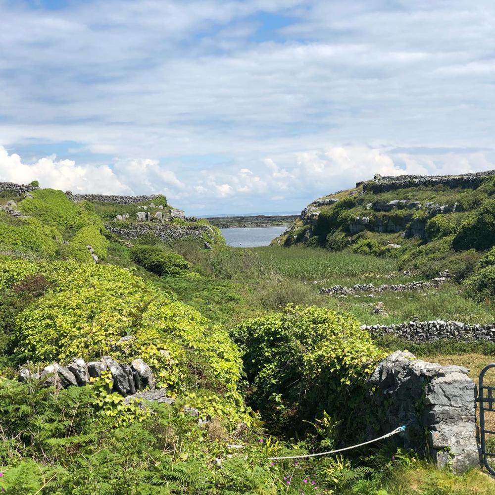 025_craic_2019