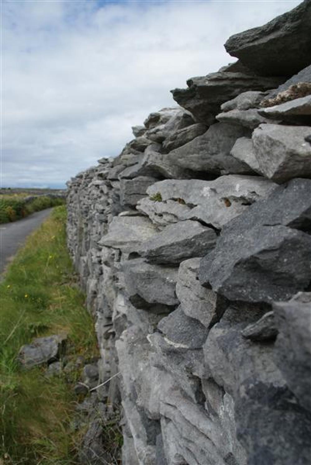 015_craic_2009