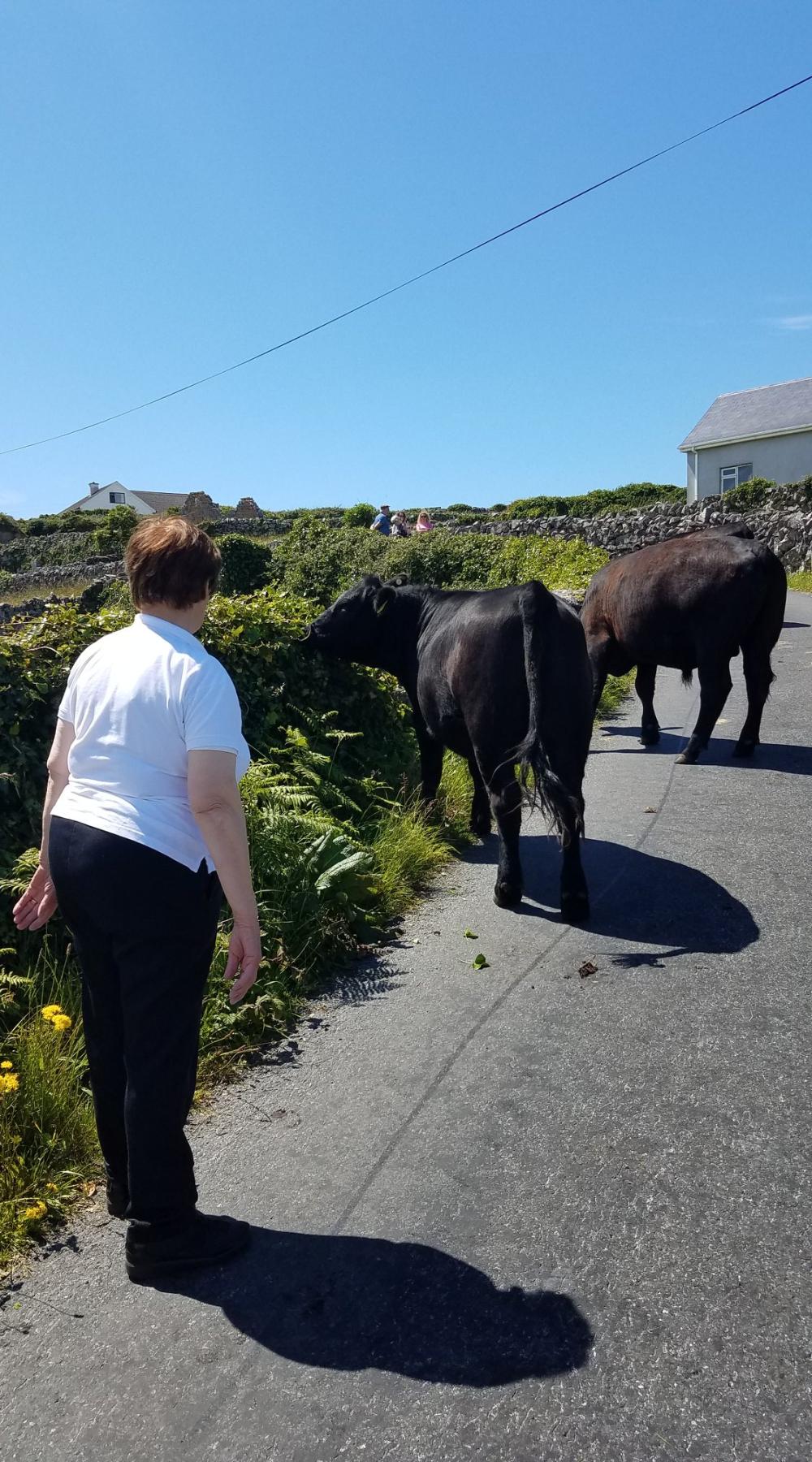 068_craic_2019