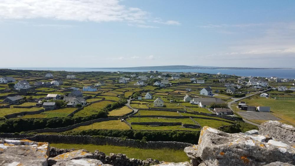 045_craic_2019