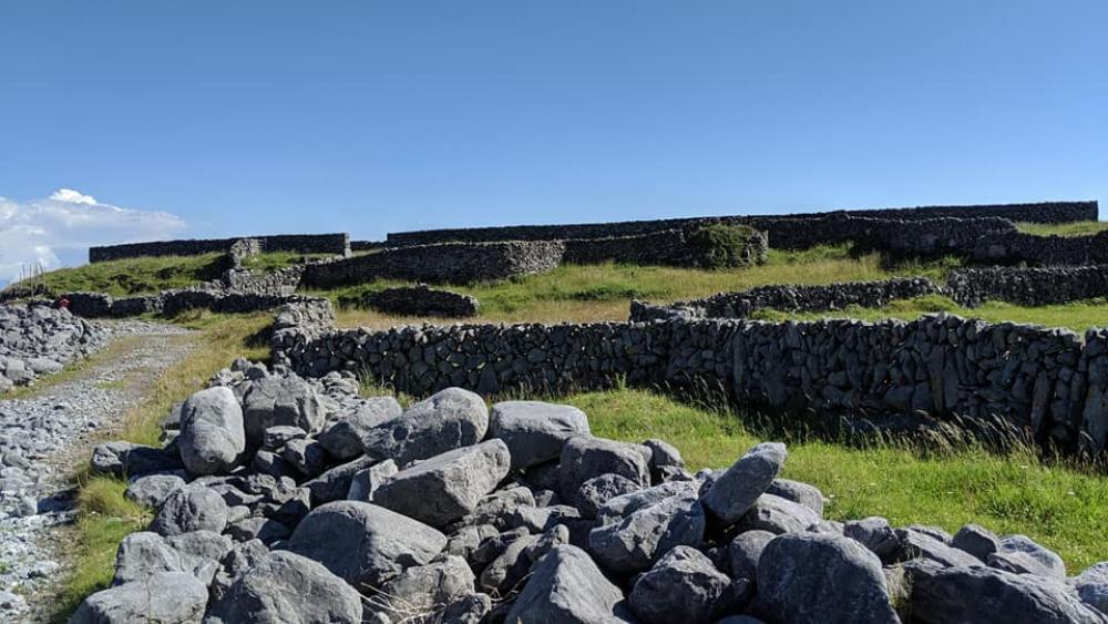 014_craic_2019