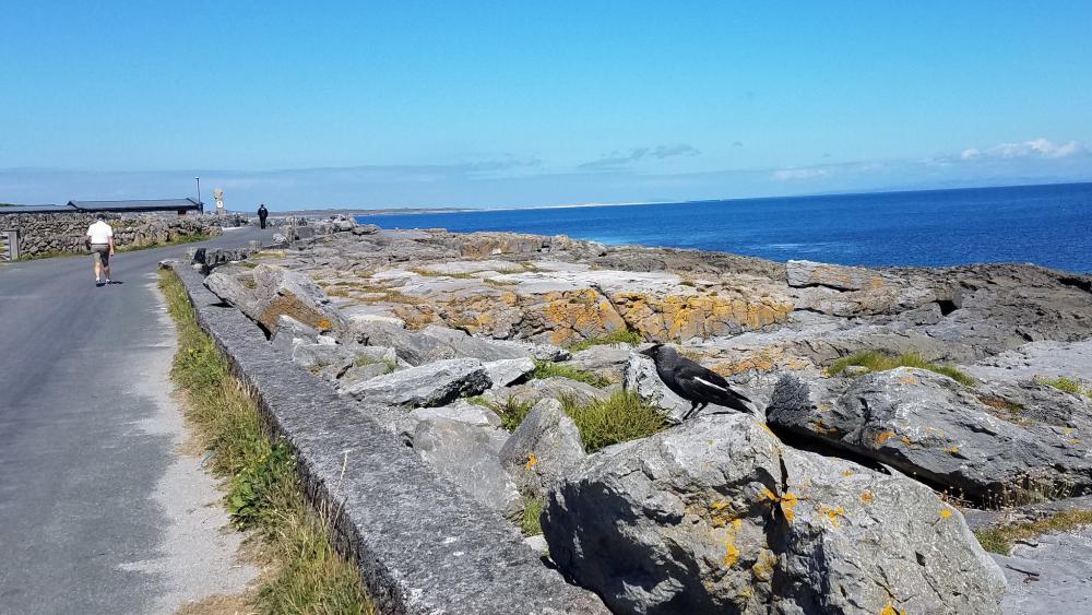 075_craic_2019