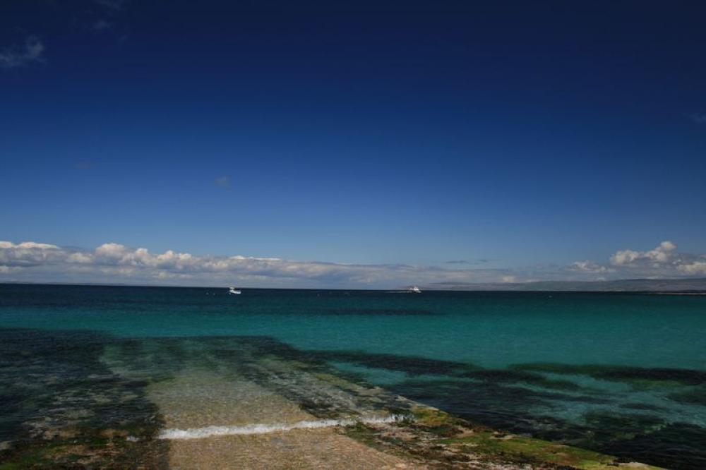 196_craic_2007