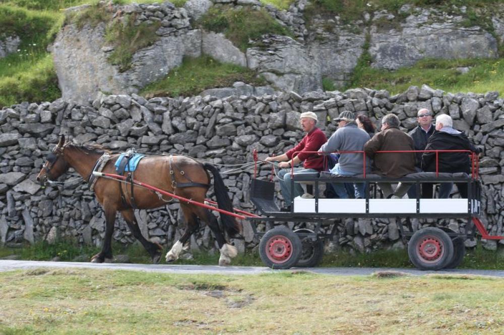 017_craic_2007
