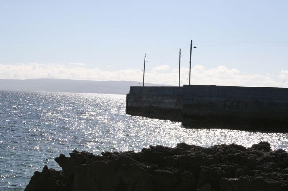 184_craic_2007