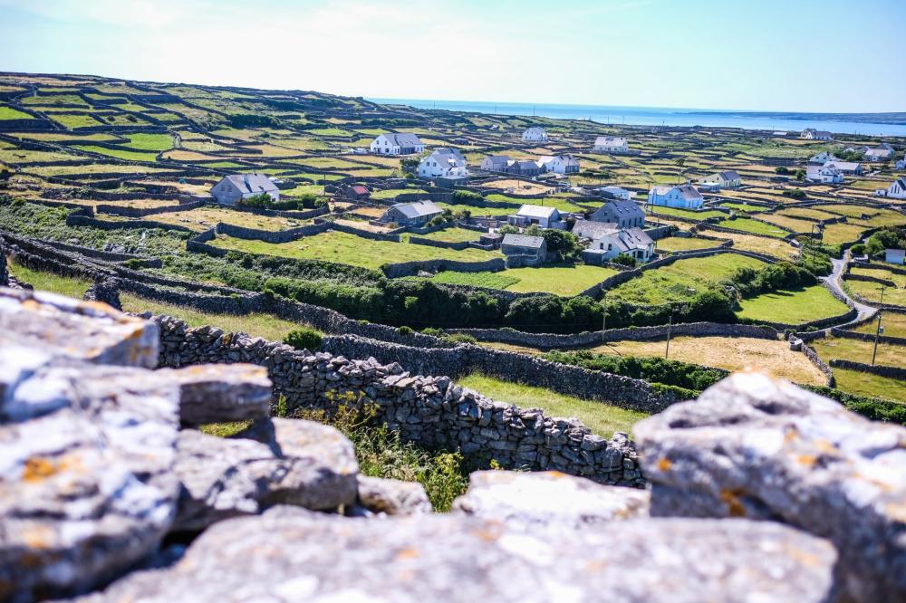 084_craic_2018