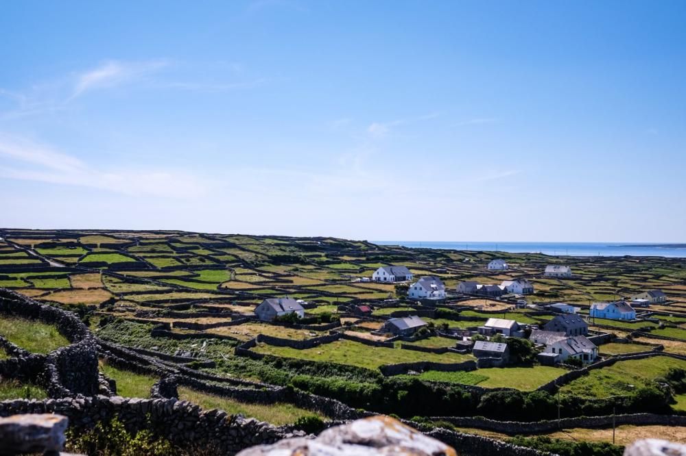 099_craic_2018