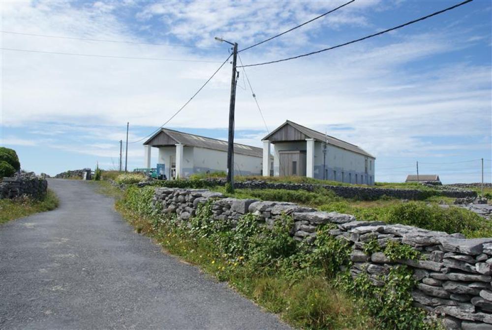 009_craic_2009