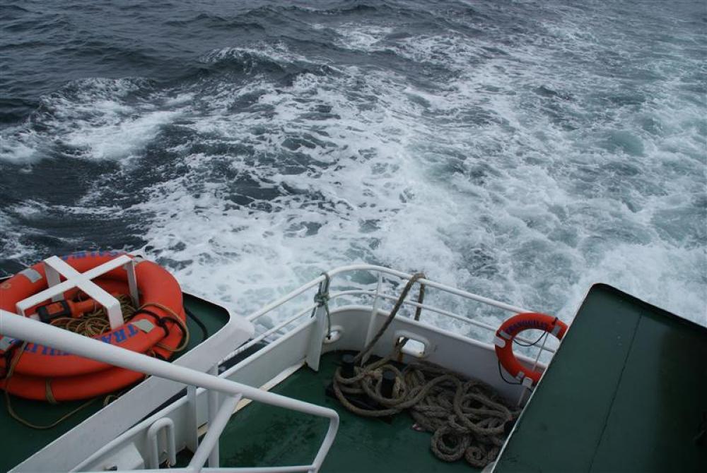 003_craic_2009
