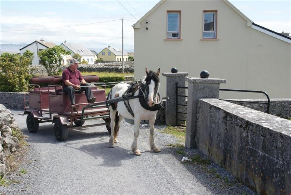 010_craic_2009