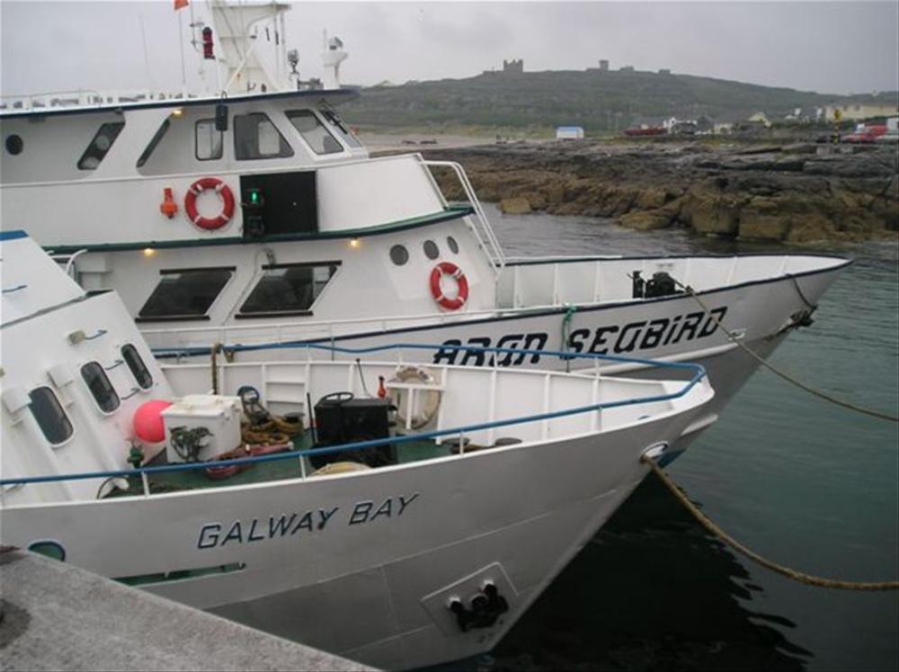 047_craic_2006