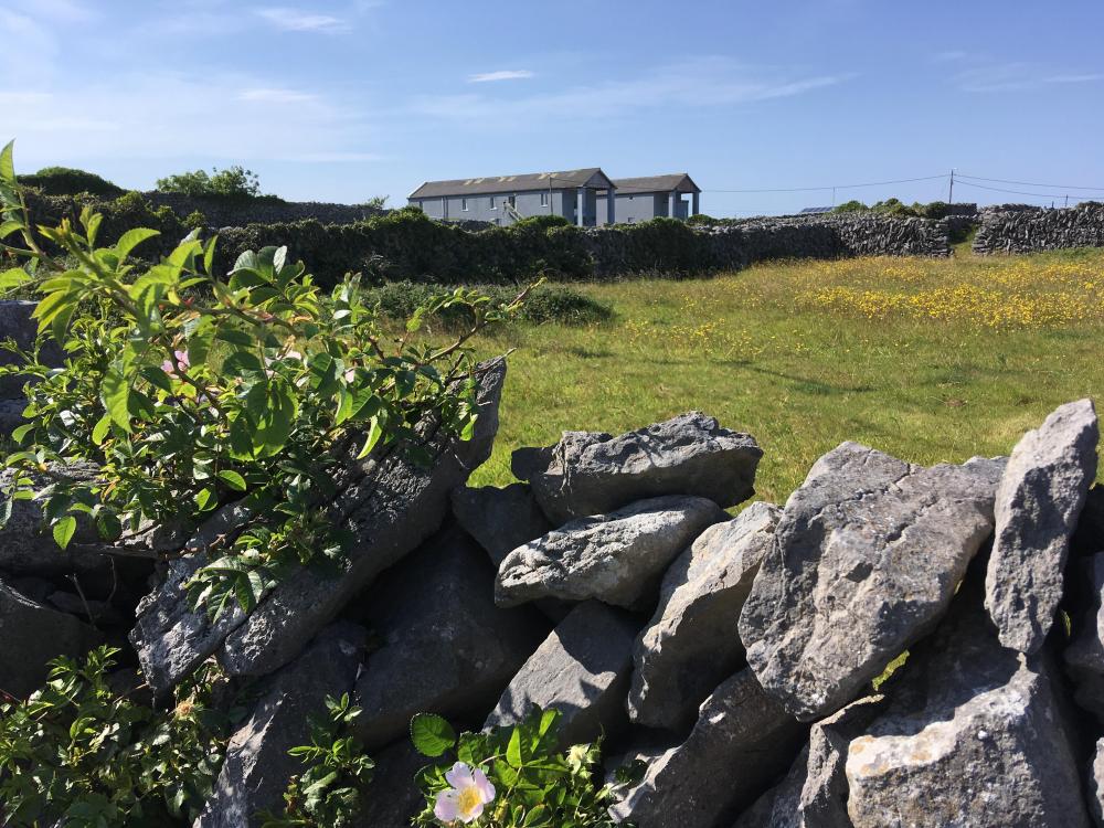 060_craic_2019