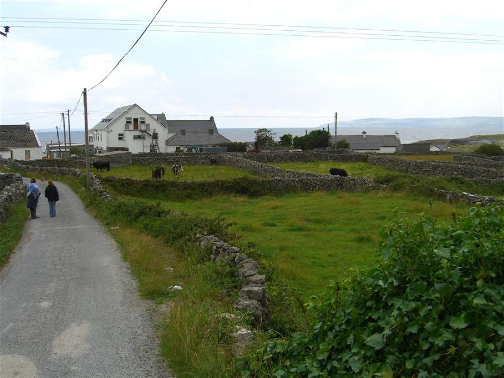 070_craic_2006