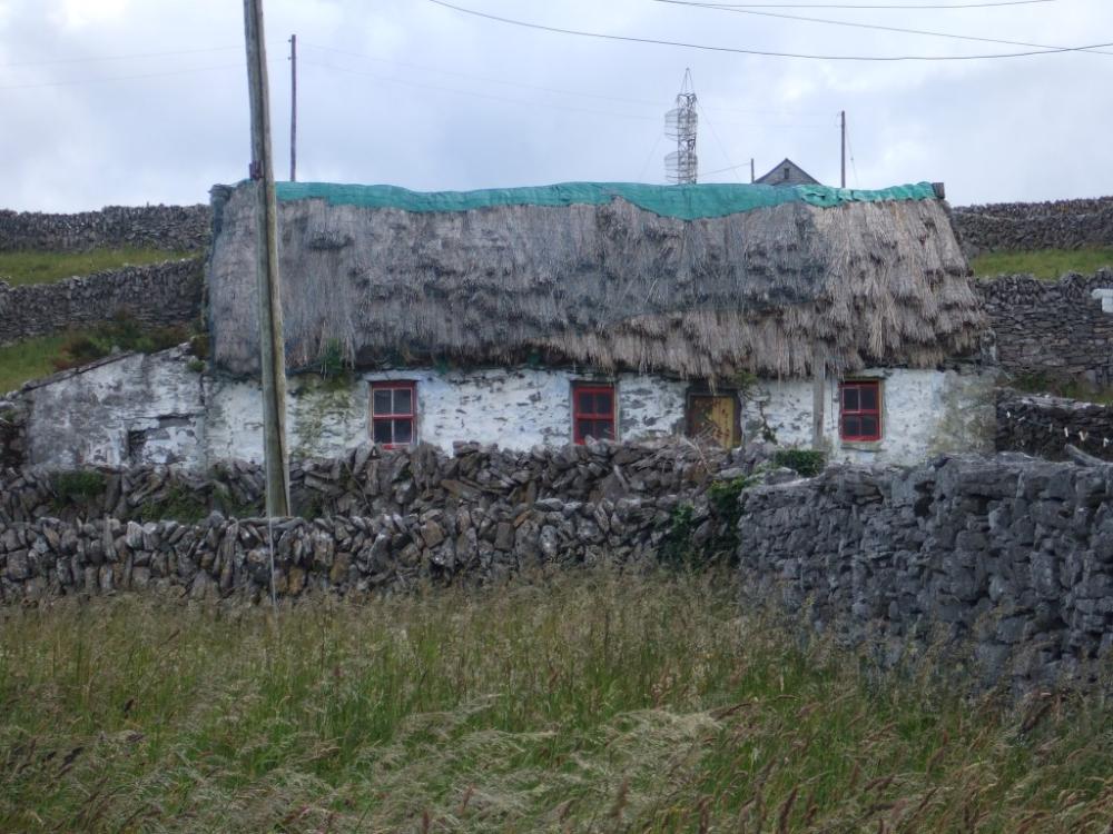 058_craic_2008