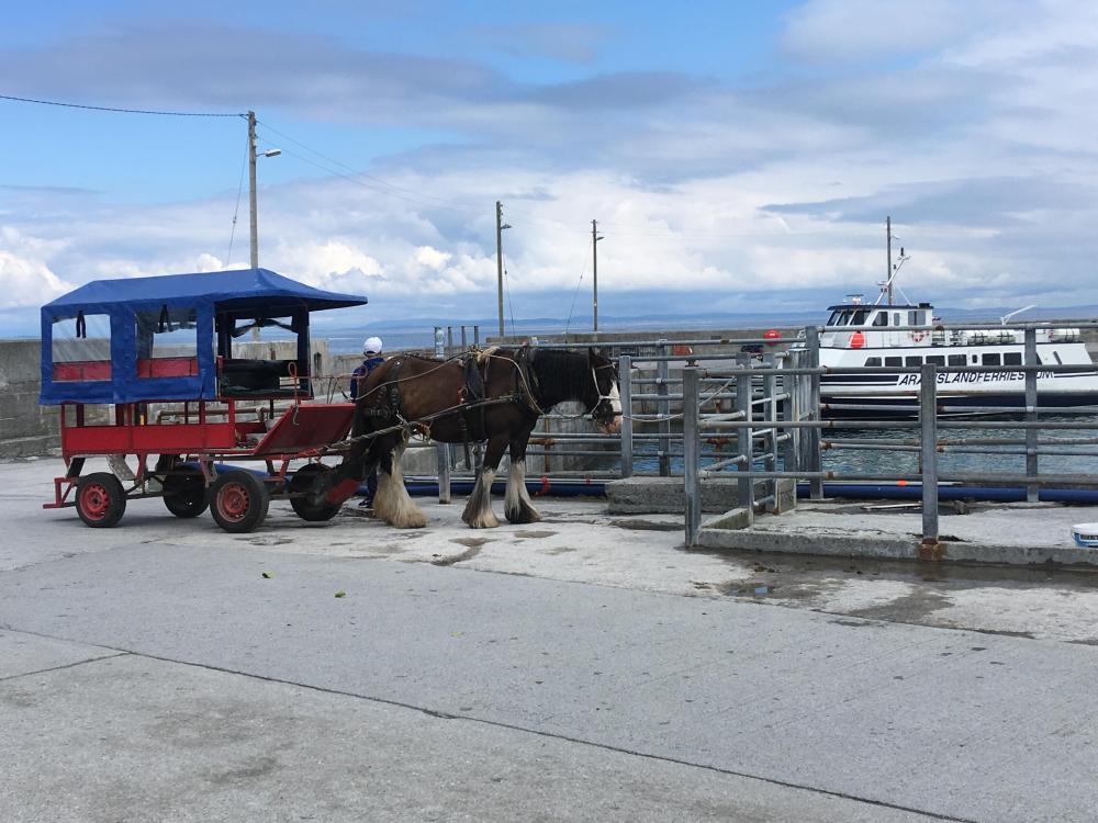 074_craic_2019