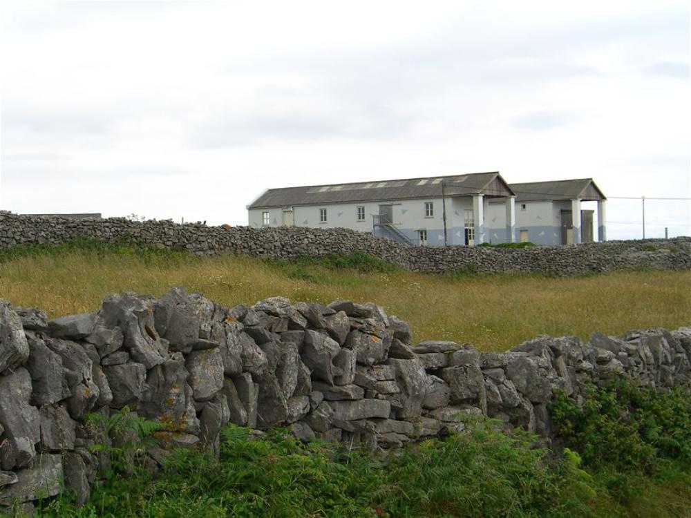 068_craic_2006