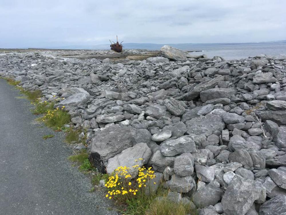 035_craic_2019