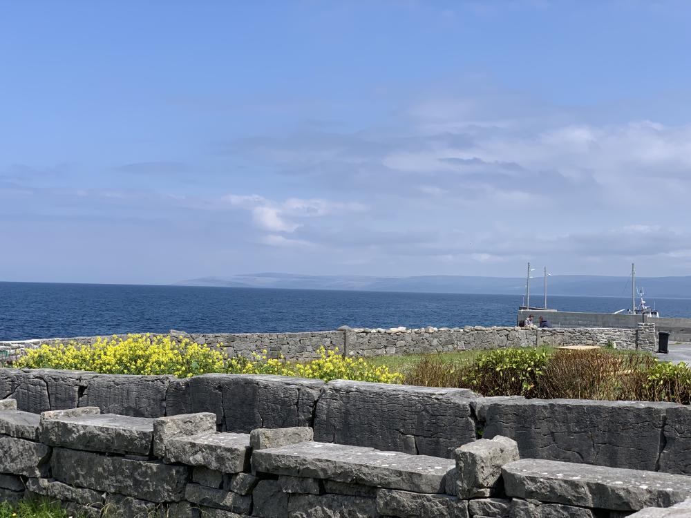 008_craic_2019