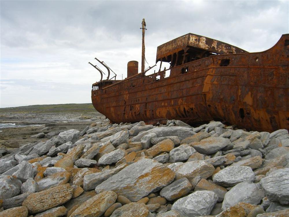 268_craic_2006