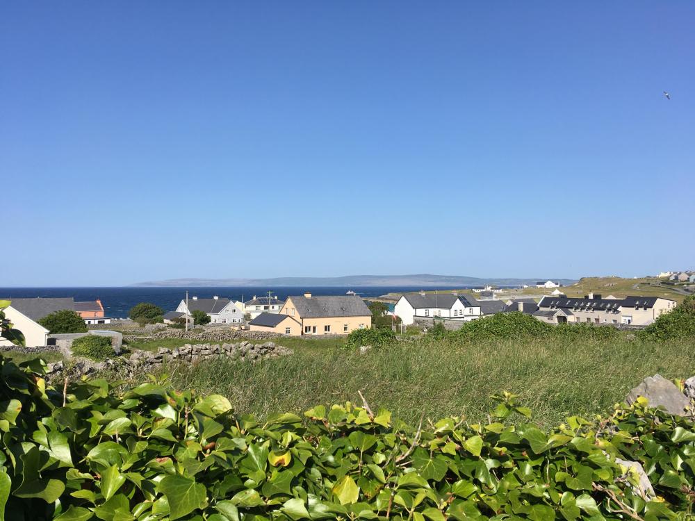 073_craic_2019