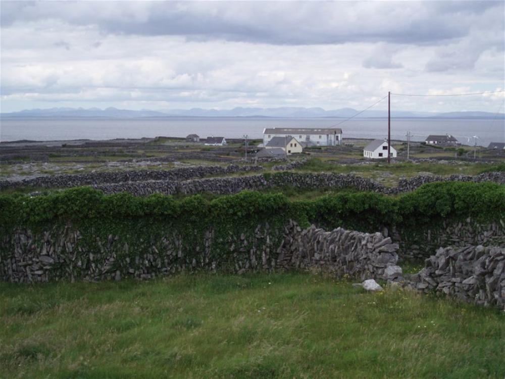 074_craic_2006