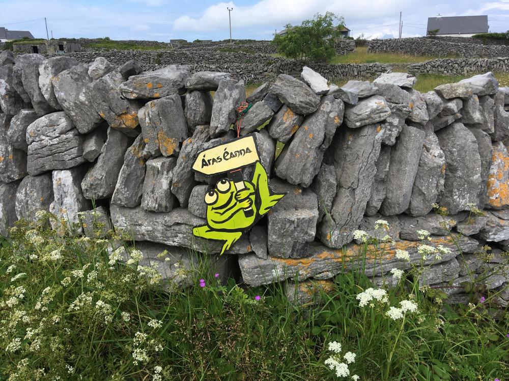 050_craic_2019