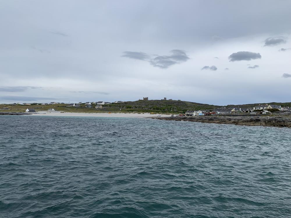002_craic_2019