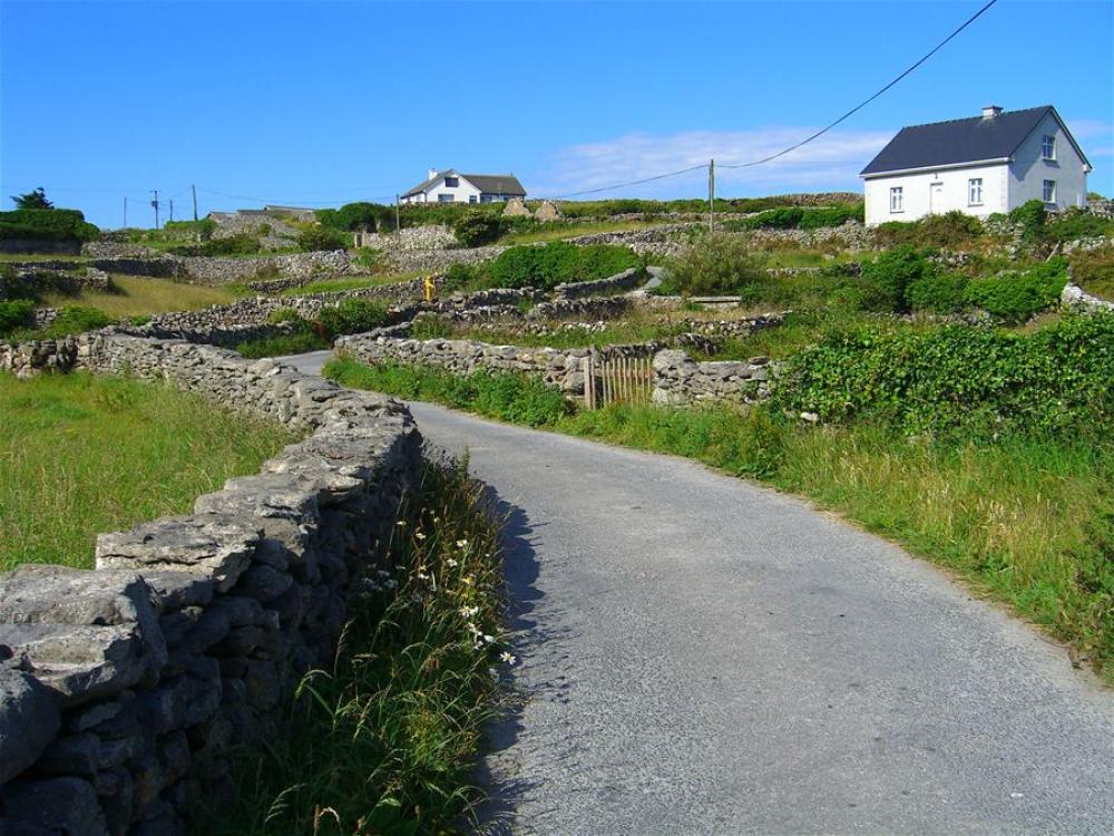 088_craic_2006
