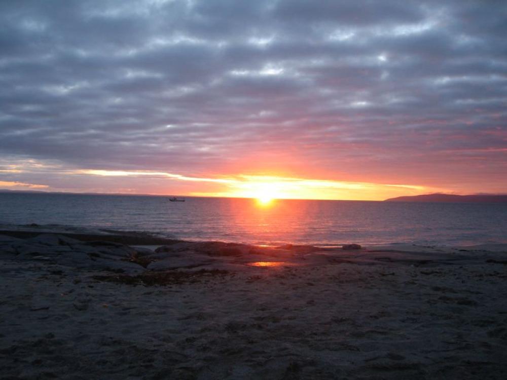 173_craic_2007