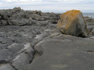 259_craic_2006