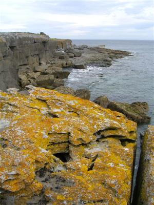 272_craic_2006