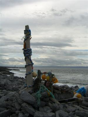 263_craic_2006