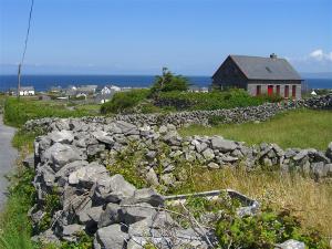 246_craic_2006