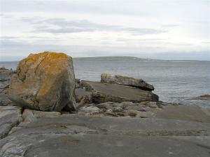 260_craic_2006